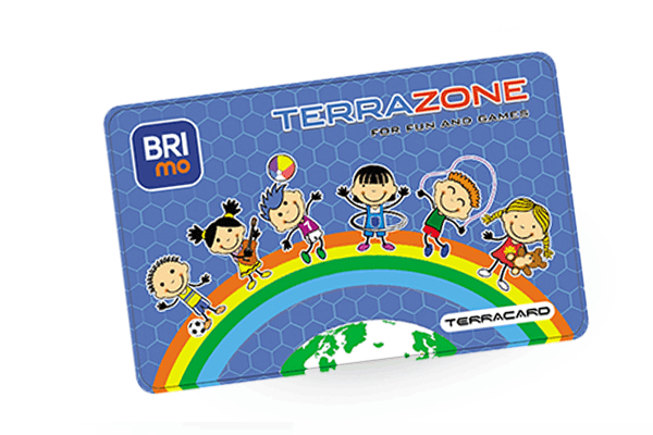 Terrazone smart card